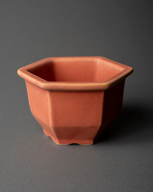 konect nos pot M Renga