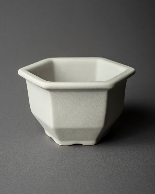 konect nos pot M Gray