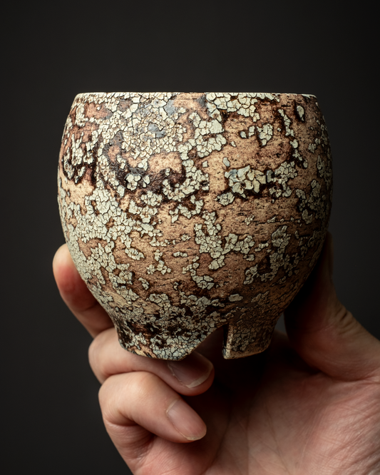 Konect ' mad web mushi_kui 01 S'