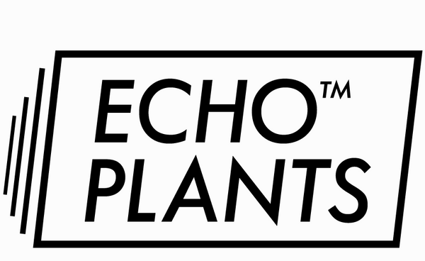 ECHO PLANTS